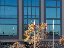 Акционеры Tower Semiconductor одобрили поглощение компанией Intel