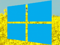 Стало известно, когда выйдет очередное крупное обновление Windows 10