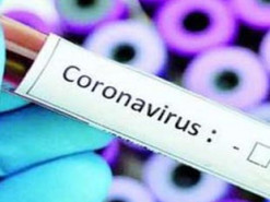 Через коронавірус закордонні робочі відрядження скасували 91% українських IT-компаній