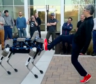 Основателя Google обвинили в жестоком обращении с роботами