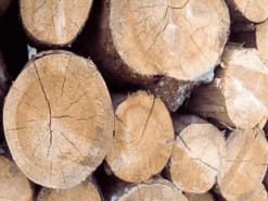 В Запорожье орудуют интернет-мошенники