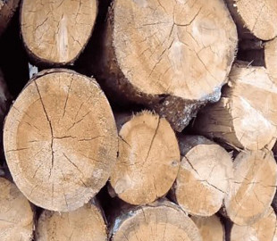 В Запорожье орудуют интернет-мошенники