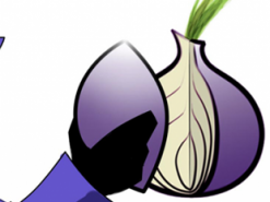 Итальянцы создали платформу для информаторов в Tor