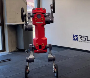 Швейцарский четвероногий колёсный робот научился вставать на задние конечности