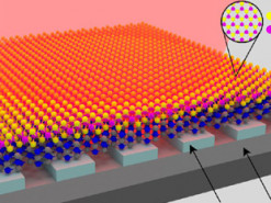 Разработана поляритонная платформа для будущих оптических транзисторов