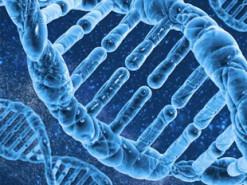 Google DeepMind представила ШІ для пошуку генетичних причин захворювань