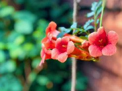 Гороскоп на 14 серпня для всіх знаків зодіаку: доля підкаже, як виправити становище на краще