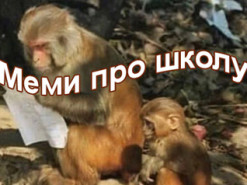 Меми про школу: Як у соцмережах жартують про навчання дітей