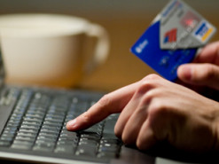 Женщина получила тюремный срок за мошенничество с продажами саженцев на OLX