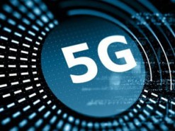 Британские коровы получили доступ к 5G раньше, чем большинство людей