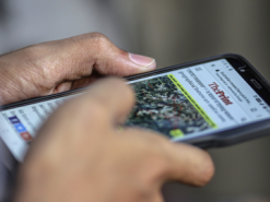 Bloomberg: как 11 человек пытаются остановить распространение фейковых новостей