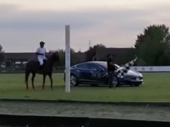 Электрокар Tesla сразился в гонке с лошадью