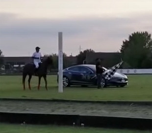 Электрокар Tesla сразился в гонке с лошадью