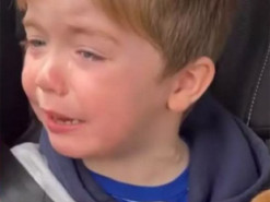 Реакция ребенка на щенка растрогала пользователей Сети