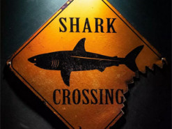 В магазине приложений Android нашли «антивирус» с вирусом