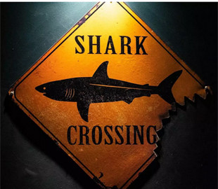 В магазине приложений Android нашли «антивирус» с вирусом