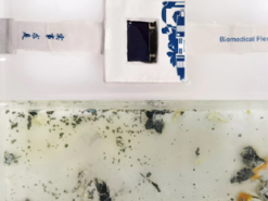 Новые умные часы растворяются в воде за полтора дня