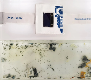 Новые умные часы растворяются в воде за полтора дня