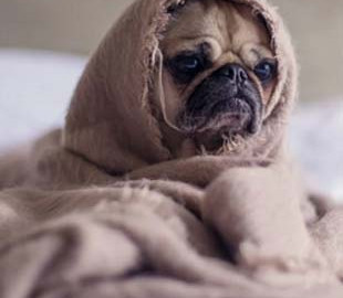 Як обігріти квартиру без електрики: найкращі лайфхаки