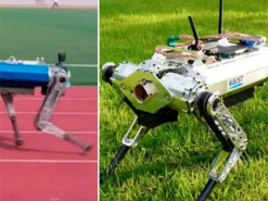 Робопес встановив рекорд швидкості в бігу на 100 метрів