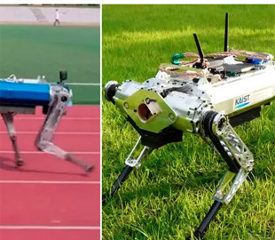 Робопес встановив рекорд швидкості в бігу на 100 метрів