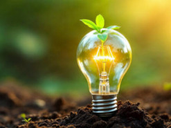 В Україні запрацював цифровий реєстр об’єктів відновлюваної енергетики