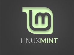 Двое детей обнаружили способ обойти экран блокировки в Linux Mint