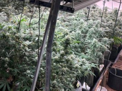 В Україні викрили масштабну нарколабораторію: продавали "товар" по всіх регіонах через інтернет