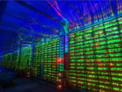 Хакери з Китаю навчились майнити криптовалюту в урядових мережах США