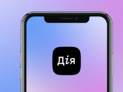 Правительство анонсировало растаможку автомобилей через "Дию"