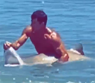 Мужчина засунул руку в пасть акулы: появилось видео курьезного случая на пляже