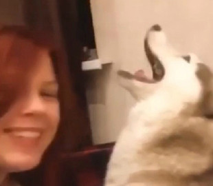 Собака решила откровенно высказаться, как ей не нравится купаться