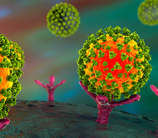 Ученые научились сортировать респираторные вирусы с помощью машинного обучения