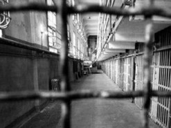 Закликав бомбити телевежу: вінничанин отримав п'ять років тюрми