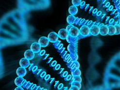 Учёные удвоили плотность записи данных на ДНК