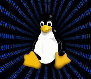 Microsoft готовит версию Teams под Linux