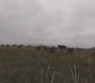 "Бандеромобіль" із ПТРК влаштував танкам ворога "Чорнобаївку": у мережі з'явилося кумедне відео