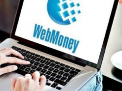 В Україні судитимуть підприємця за використання забороненої платіжної системи «WebMoney»