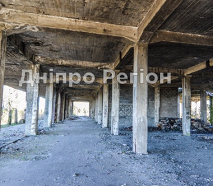 Просила вибачення та прощалася: у Дніпрі подруга розповіла про останні хвилини життя Валерії Статюхи