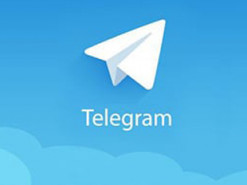 Telegram заблокировал главный канал лукашистов