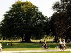 Соратник Кличка пояснив, чому не варто йти гуляти в парки під час тривоги