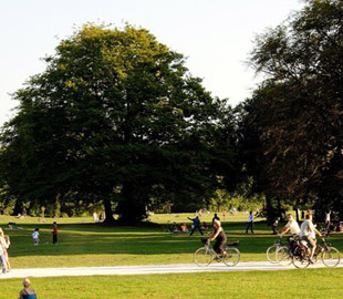 Соратник Кличка пояснив, чому не варто йти гуляти в парки під час тривоги