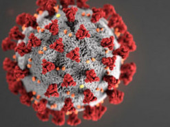 Минздрав запустил сайт с полной информацией о "лекарствах против коронавируса"