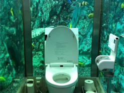 Фотографируйтесь в туалете. В Украине объявили конкурс на лучший туалет