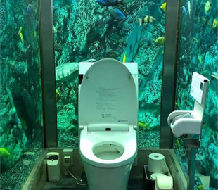 Фотографируйтесь в туалете. В Украине объявили конкурс на лучший туалет