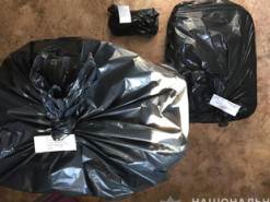 Киберполиция разоблачила запорожцев, которые нарушили авторские права мировых кинокомпаний