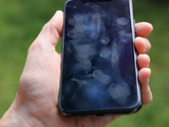 Apple придумала способ защитить гаджеты от отпечатков пальцев