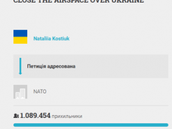 Петиция к НАТО о закрытии неба над Украиной набрала уже 108% голосов