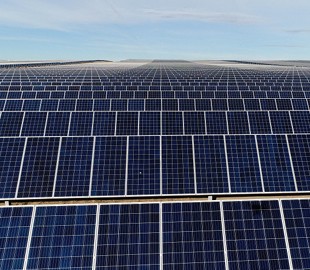 Facebook обещает на 100 процентов стать «зеленой» к 2020 году