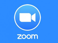 Политик во время Zoom-встречи поставила перед камерой свое фото и отлучилась